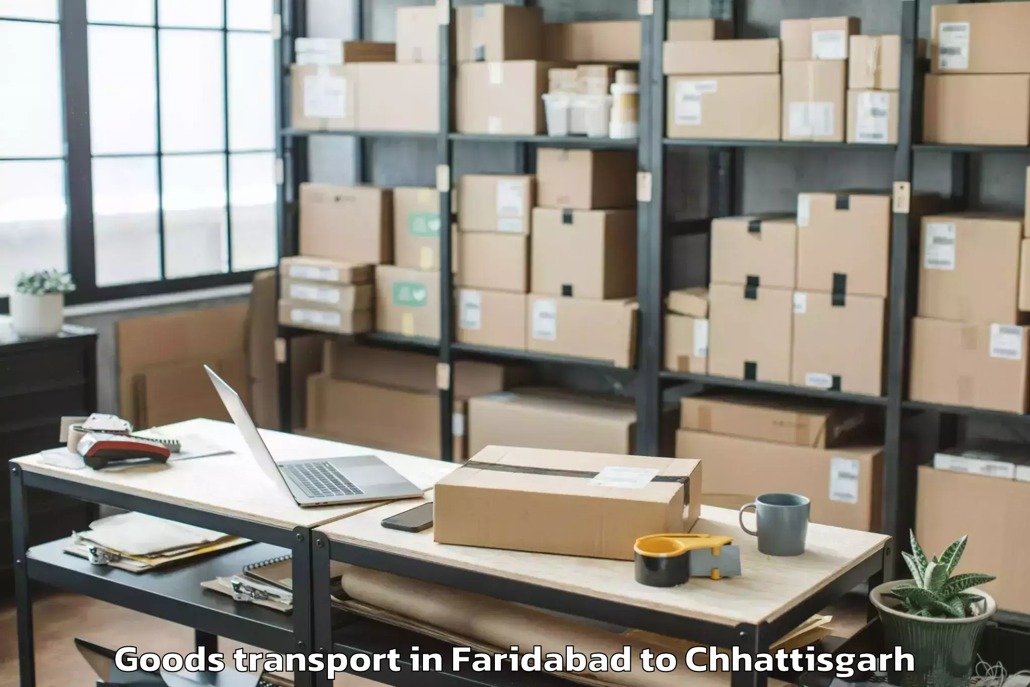 Quality Faridabad to Dhamtari Goods Transport